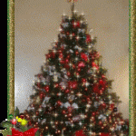 graphics-christmas-trees-991358