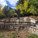 311923062_475178377976048_4954432155835058704_n