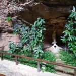 312022083_633020985199982_3965976909615973235_n