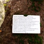 εικόνα_Viber_2022-10-16_19-42-38-373