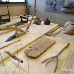 368516729_367547595844638_7609958216553597356_n