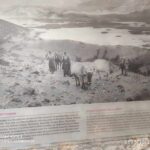 368627158_1817879691999624_1737311290447147858_n