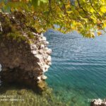 369896975_1830622340718655_4124187499632926170_n