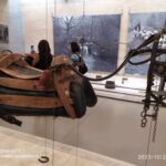 371473183_7066475440051807_1216157993324869290_n